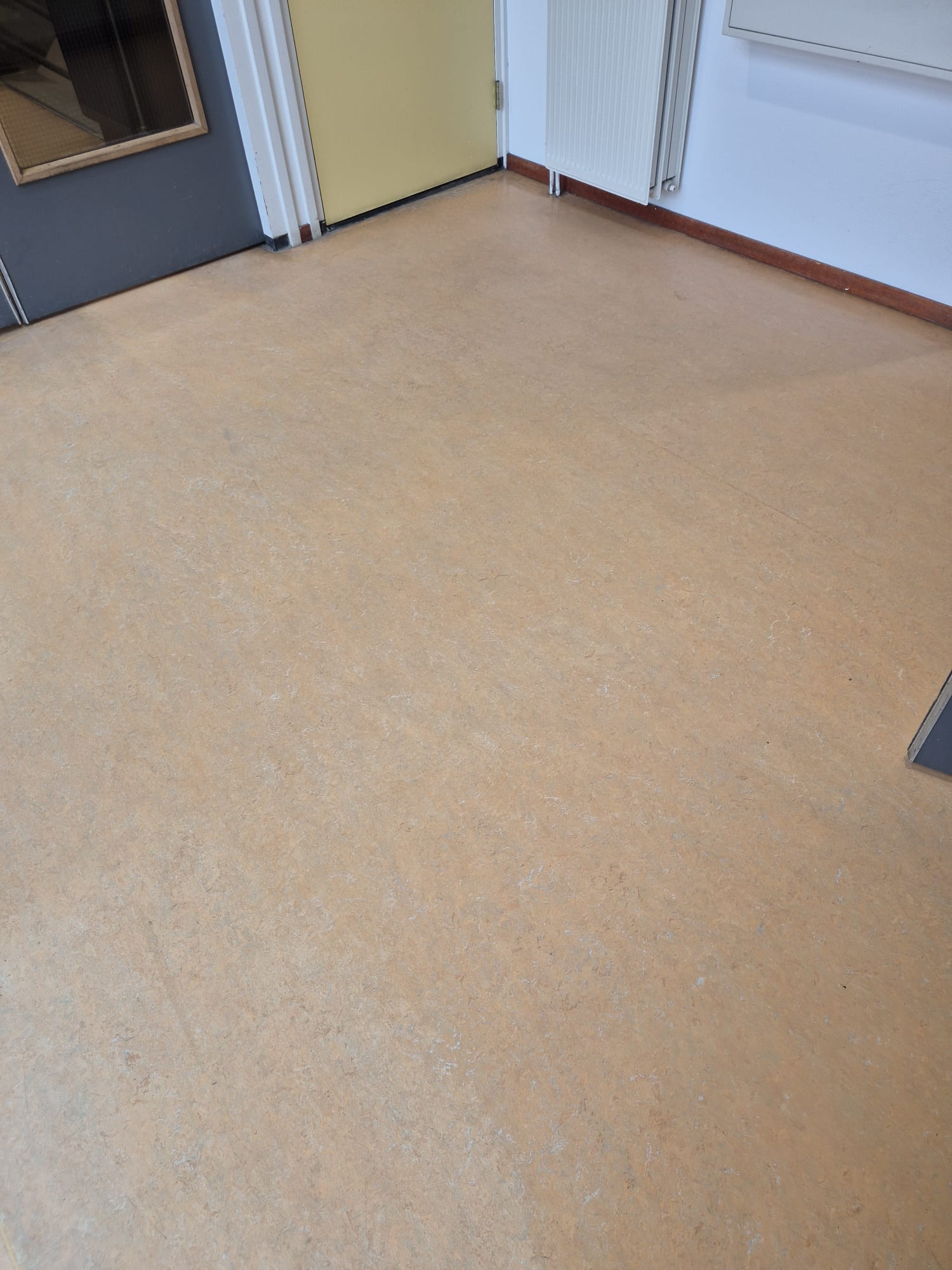 Na reiniging van Linoleum vloer